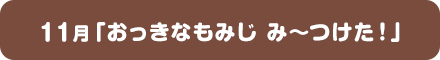 11月「おっきなもみじ み～つけた！」