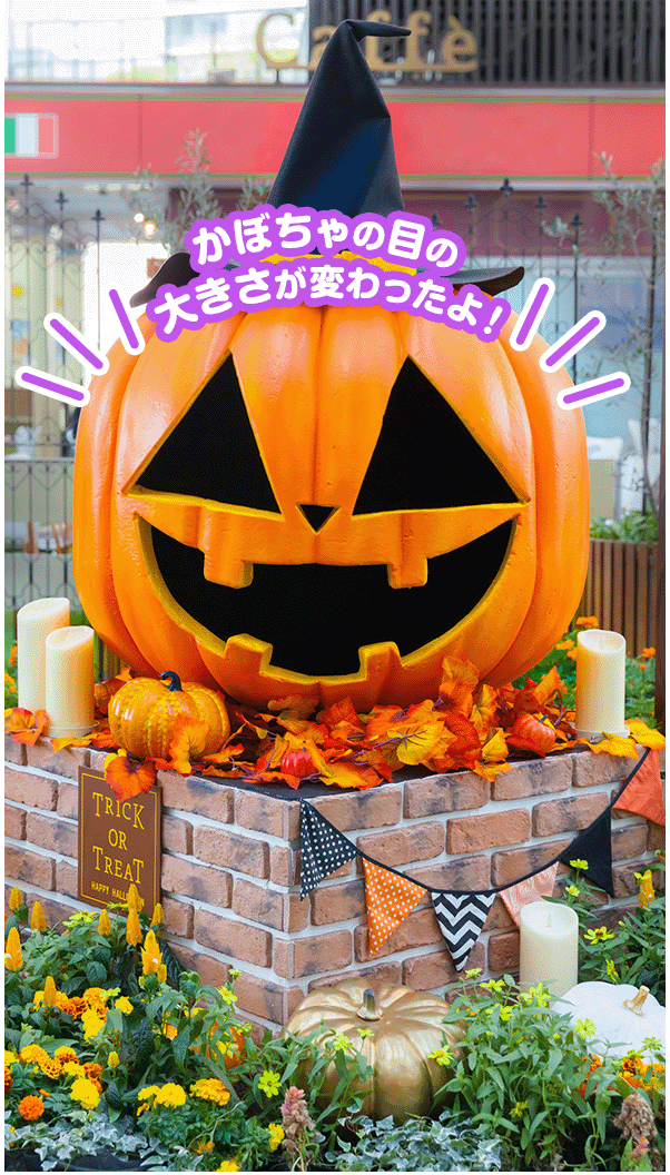 かぼちゃの目の大きさが変わったよ！