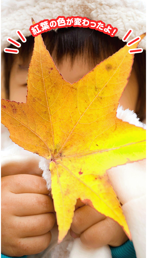 紅葉の色が変わったよ！