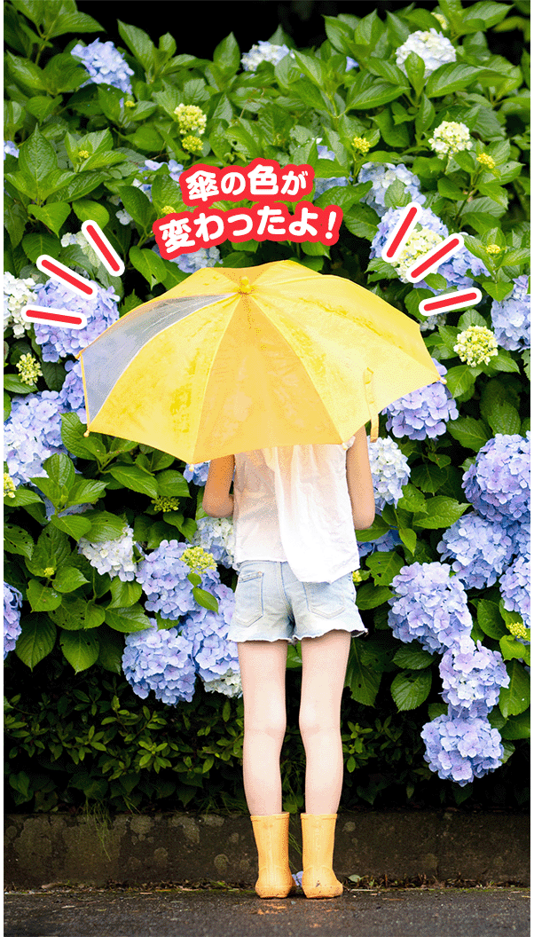 傘の色が変わったよ！