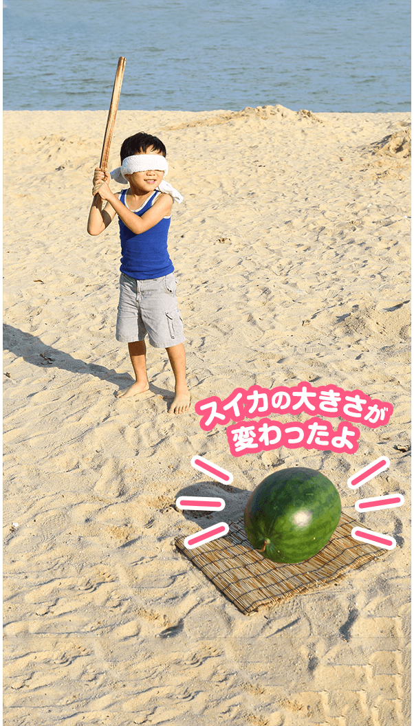 スイカの大きさが変わったよ！